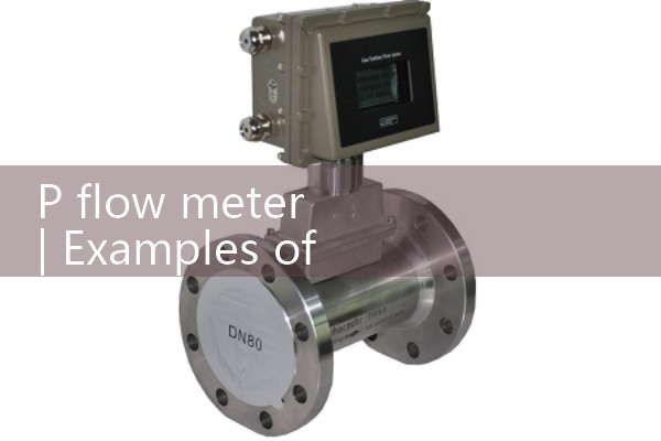 p flow meter|gas flow meter